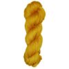 2006 - Turmeric