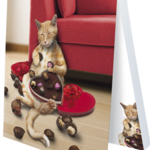 Klebezettel - Naschkatze