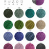 hw2026-cool-wool-vintage-farbkarte-lana-grossa