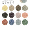 hw2026-natural-knits-pelo-cashmere-farbkarte-lana-grossa